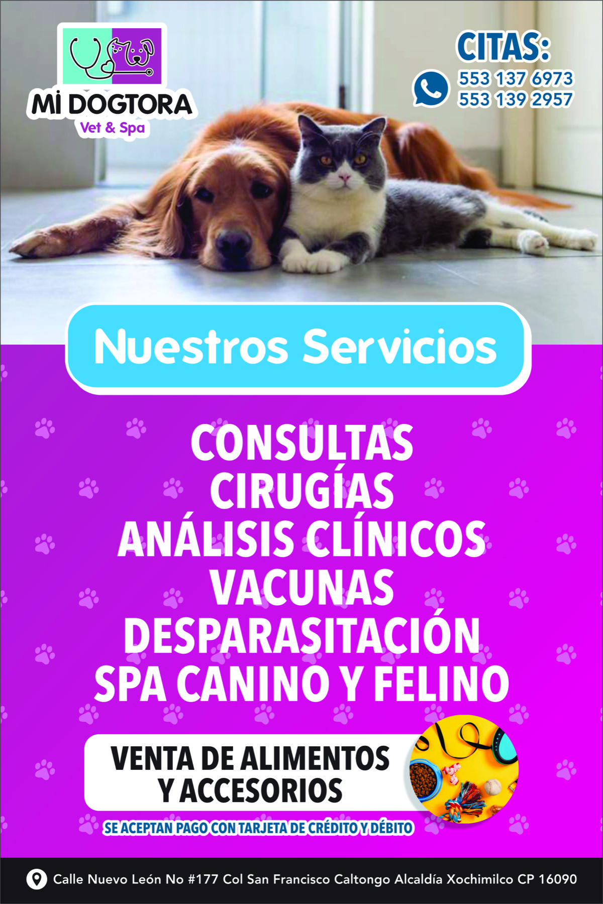 Servicios de Mi Dogtora